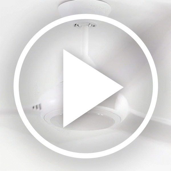 web videos